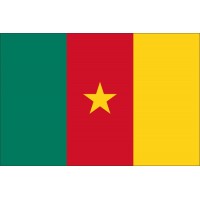 Magnetka vlajka Kamerun