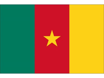 Magnetka vlajka Kamerun
