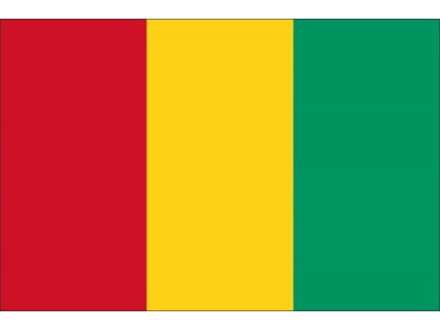 Magnetka vlajka Guinea