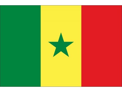 Magnetka vlajka Senegal