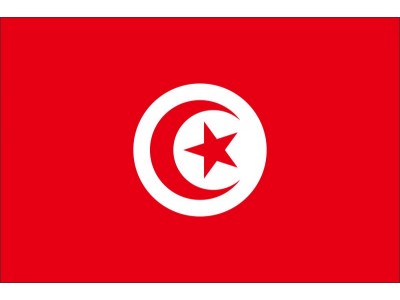 Magnetka vlajka Tunisko