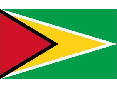 Magnetka vlajka Guyana