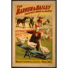 Magnetka The Barnum and Bailey