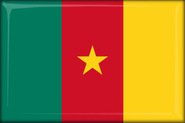 Živicová magnetka - vlajka Kamerun