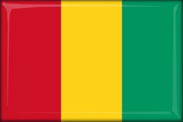 Živicová magnetka - vlajka Guinea