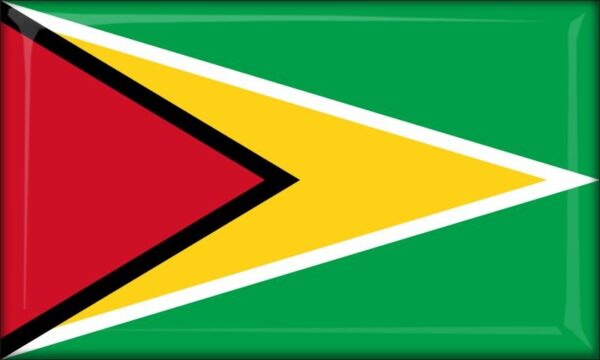 Živicová magnetka - vlajka Guyana