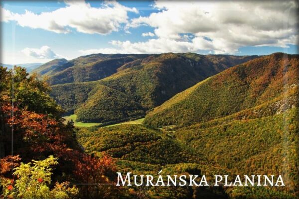 Živicová magnetka - Národný park Muránska planina