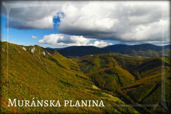 Živicová magnetka - Národný park Muránska planina II