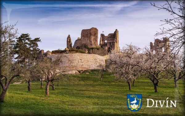 Živicová magnetka - Hrad Divín V.