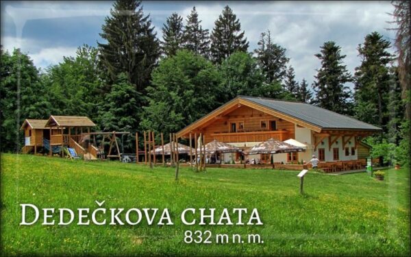 Živicová magnetka - Dedečkova chata - leto