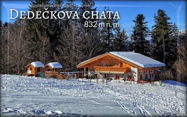 Živicová magnetka - Dedečkova chata - zima